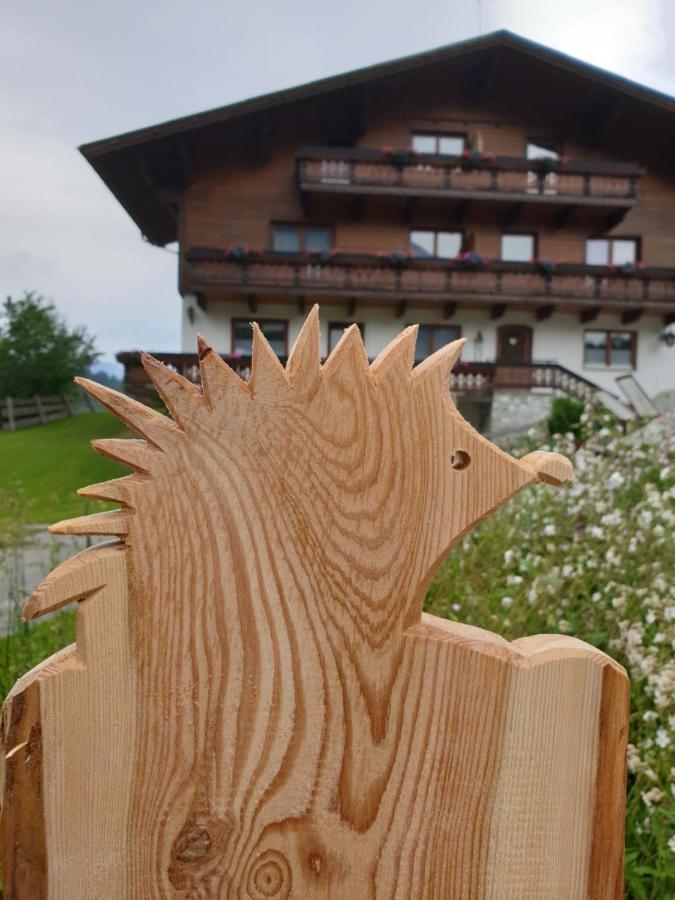 Ahlhof Villa Schladming Eksteriør billede